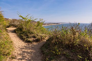 High shore path at the Dornbusch on the island Hiddensee by Rico Ködder