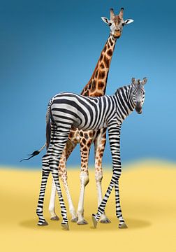 giraffe mit zebra