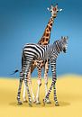 giraffe mit zebra von Armin Mumper Miniaturansicht