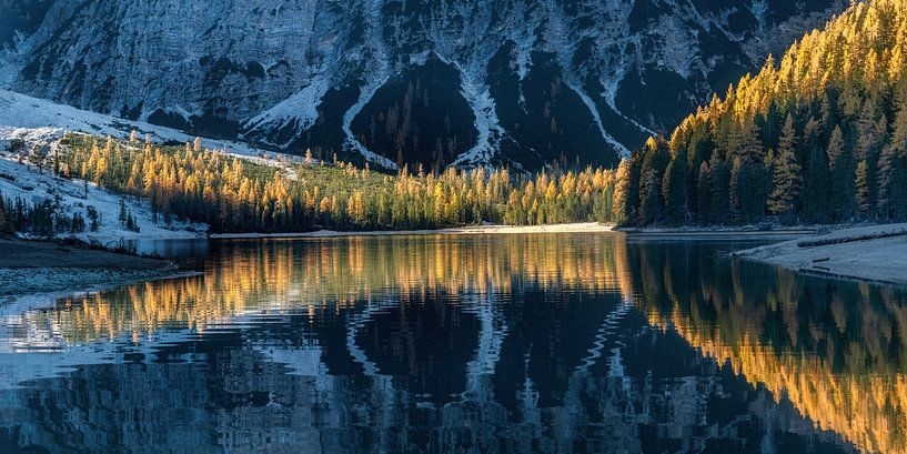Golden Light by Voss photography