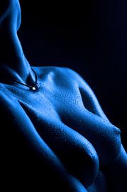 Blauwe Serie I van Jörg B. Schubert