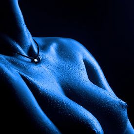 Blauwe Serie I van Jörg B. Schubert