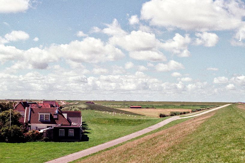 Landscape Friesland by Floris Trapman
