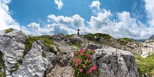 Roses des Alpes en fleur sur le sentier d'altitude de Koblat dans les Alpes d'Allgäu sur Walter G. Allgöwer