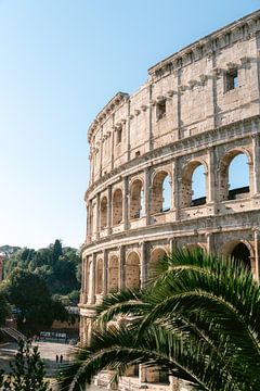 Colosseum Rome van Suzanne Spijkers