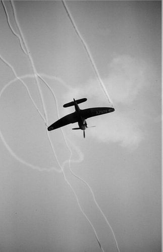 Hawker Sea Fury Motiv 6