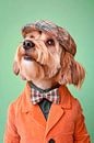 Petit Basset von Poster Art Shop Miniaturansicht