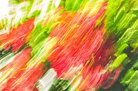 Red Flowers