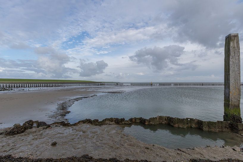 The mudflats by Nicole Nagtegaal