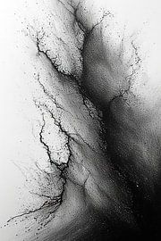 Symphony in black and white by Günther Heilemann
