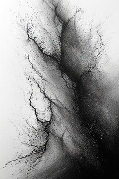 Symphonie en noir et blanc