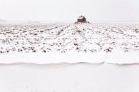 Winter in Holland von Frank Peters Miniaturansicht