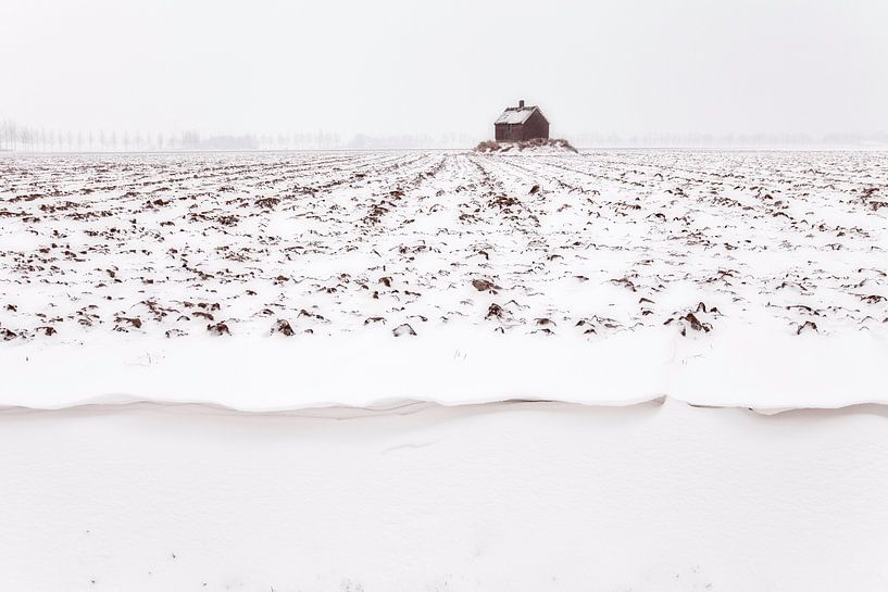 Winter in Holland by Frank Peters