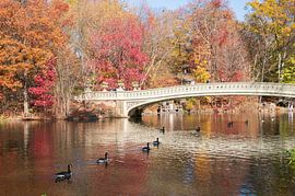 The Bow Brige in Central Park - New York by Tim Vlielander
