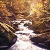 Herfstachtige Ilse watervallen in het Harz gebergte van Oliver Henze