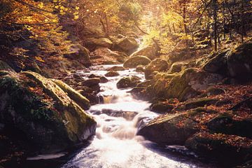 Herfstachtige Ilse watervallen in het Harz gebergte