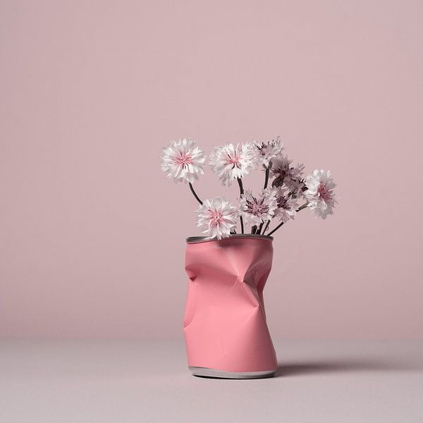 Cornflowers - pink/white by Mariska Vereijken