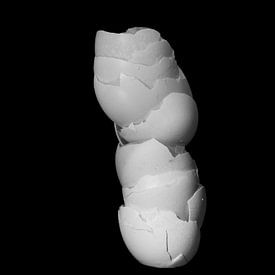 Gebroken eierschalen als abstract stilleven in zwart wit van Marianne van der Zee