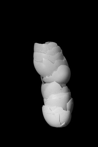 Gebroken eierschalen als abstract stilleven in zwart wit van Marianne van der Zee