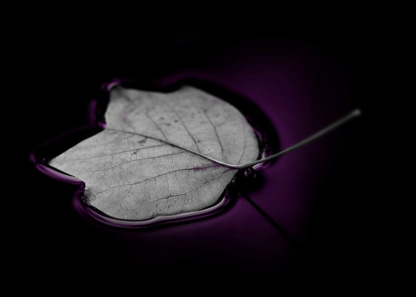 Herbst by Gabi Siebenhühner