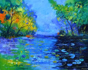 Magisch water - 108 van pol ledent