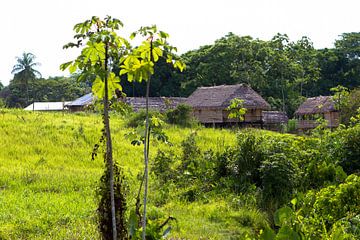Dorpsgezicht in Kwamalasamutu in Suriname van rene marcel originals
