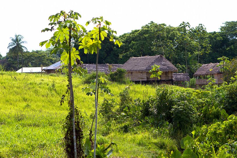 Scène de village à Kwamalasamutu par rene marcel originals
