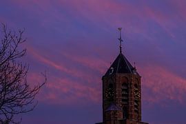 Cathédrale de la forêt le soir