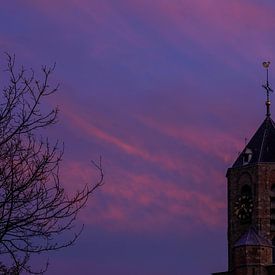 Forest cathedral in the evening by SW Arts