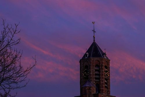 Cathédrale de la forêt le soir