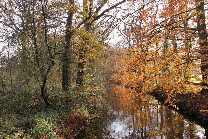 Autumn landscape by Patrick Sueters