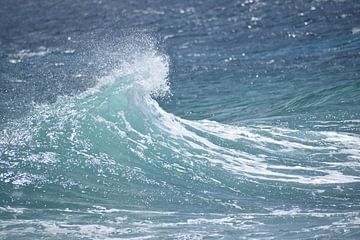 The Caribbean sea, a wave arrives by Pieter JF Smit