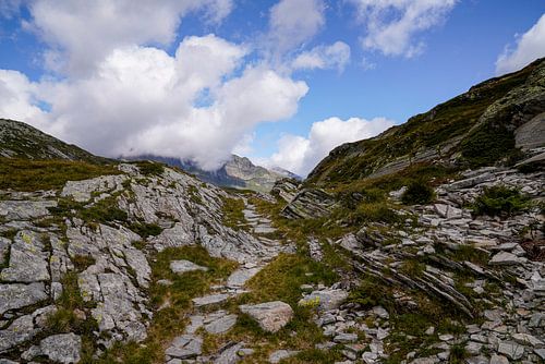 Ongerepte alpenwildernis in de Zwitserse Alpen met ruige bergtoppen en ruige natuur.