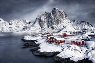 Idyllisch winterlandschap in Noorwegen van Voss Fine Art Fotografie thumbnail