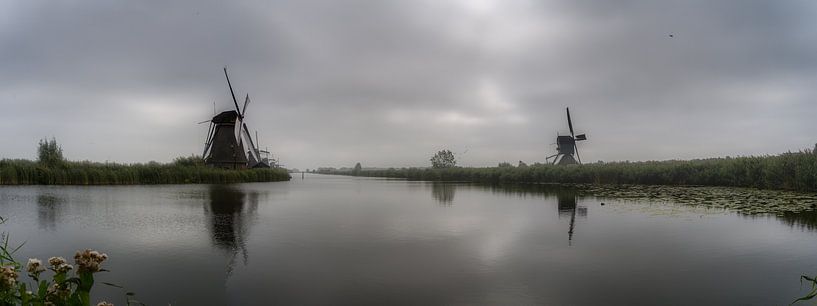 Kinderdijkse molens van de Kinderdijk van Mart Houtman