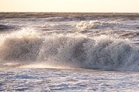 Waves