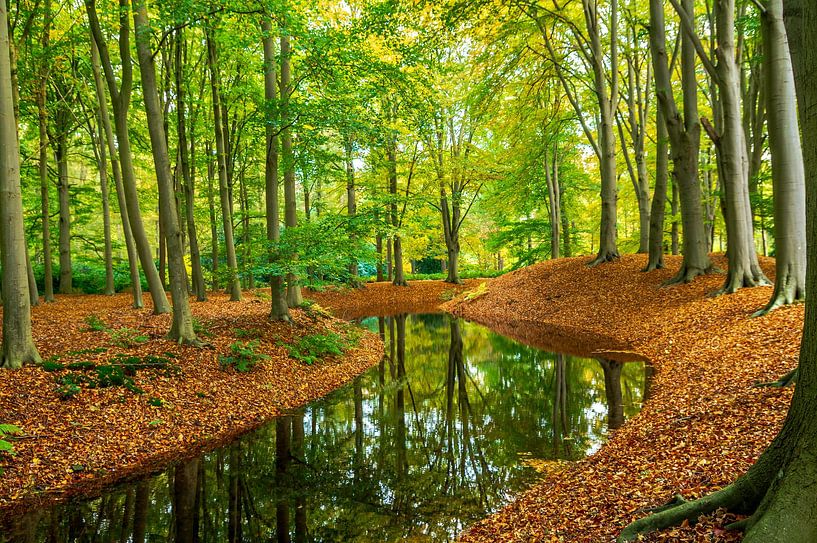 Autumn 2020 by N-Joy Pictures