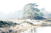 landgoed Heidestein van Marlonneke Willemsen thumbnail