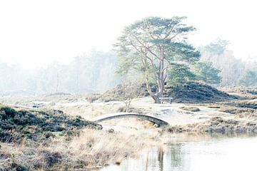 landgoed Heidestein van Marlonneke Willemsen