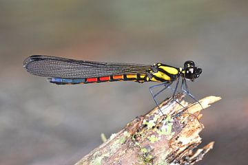 Test 3 von Steve Krug