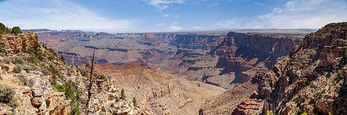 GRAND CANYON Navajo Point Panorama View