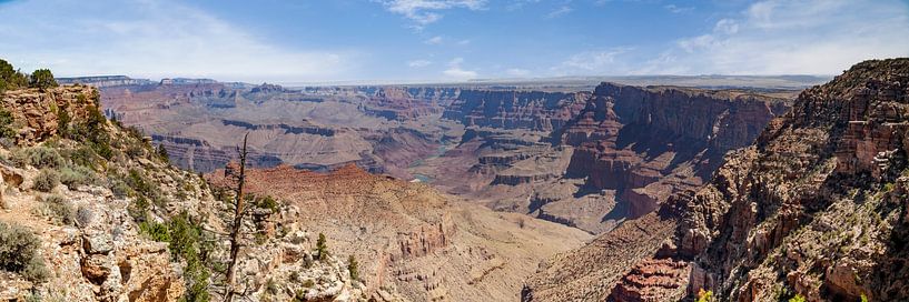 GRAND CANYON Navajo Point Panorama-Ansicht von Melanie Viola