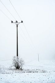 Mast von einer Überlandstromleitung an einem grauen, nebligen Wintertag mit Raureif und Schnee, Kopi von Maren Winter