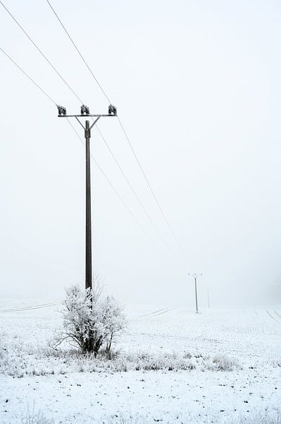 mât d'une ligne électrique terrestre par une journée d'hiver grise et brumeuse avec du givre et de l par Maren Winter