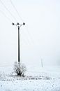 mât d'une ligne électrique terrestre par une journée d'hiver grise et brumeuse avec du givre et de l par Maren Winter Aperçu