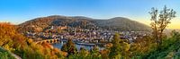 Heidelberg Panorama von Uwe Ulrich Grün Miniaturansicht
