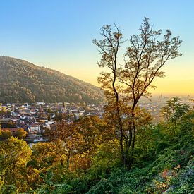 Heidelberg Panoramic view by Uwe Ulrich Grün