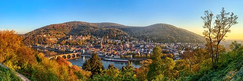 Heidelberg Panoramic view