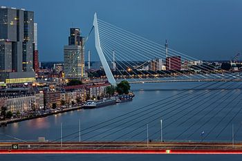 Zwei Brücken in Rotterdam