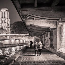 Bring the Magic of Notre-Dame de Paris into your home by Eriks Photoshop